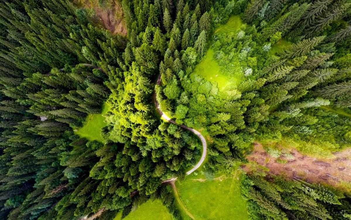 Resort Biela Skala - Chata Chopok Jasna Juh Bystrá Dış mekan fotoğraf
